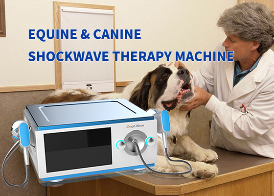 Small Animal Physical Radial Equine Shockwave Machine For Horse Treatment