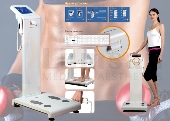 Human Body Composition Analyzer Professional Body Fat Analyzer With Colorful Touch Screen