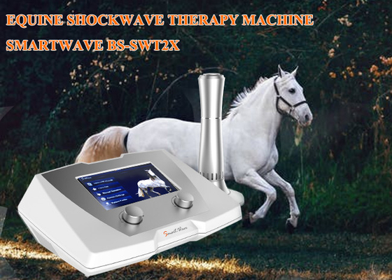 Smart Shockwave Therapy Equipment Acoustic Wave Therapy Machine Tendon Injury