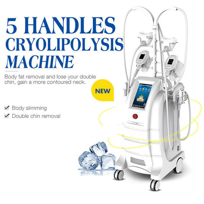 5 Handles Cryolipolysis Fat Freezing Machine Body Sculpting Machine For Fat Reduction
