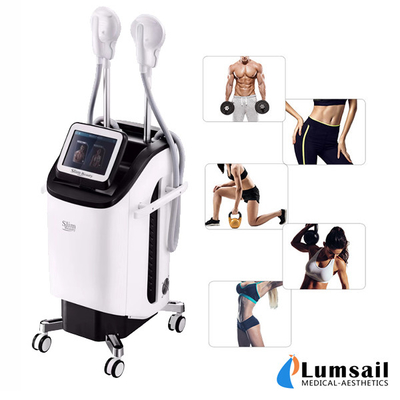 HIEMT Electromagnetic Muscle Stimulator 2 Handles EMS Slimming Machine