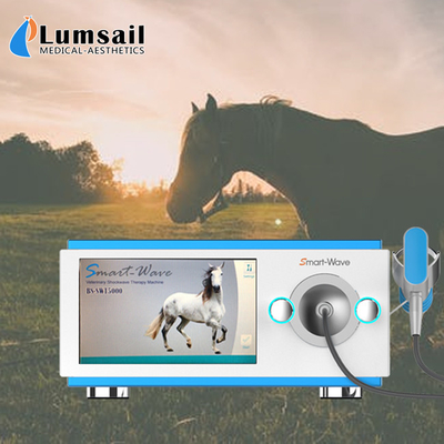Focused Transmitter Horse Shockwave Therapy Machine For Horse Back Pain