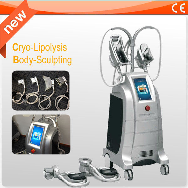 Cryolipolysis Fat Freeze Slimming Machine With 4 Handles For Beauty Salon Or Clinic Use