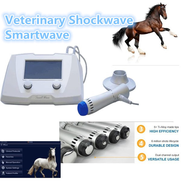 ESWT Equine Shockwave Machine 1HZ 22HZ Shockwave Machine For Vet Clinic