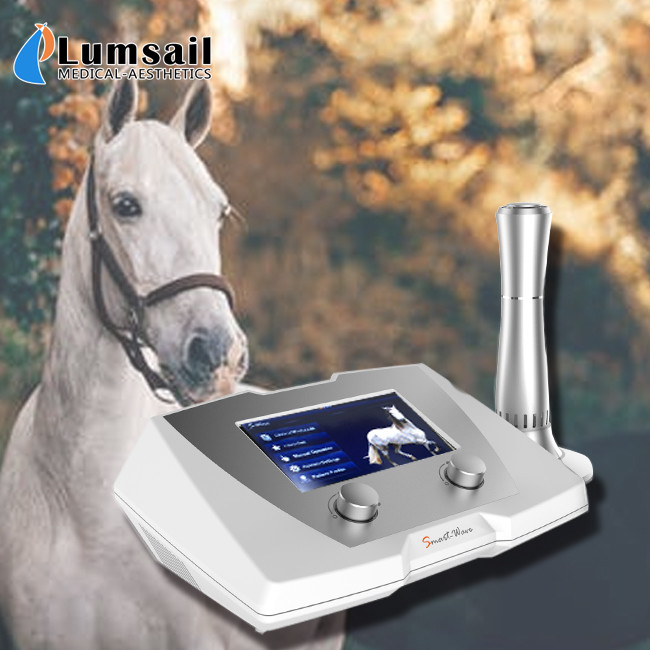 Veterinary Horse Shockwave Therapy Machine 1 22 Hz Frequency 320 * 225 * 126mm