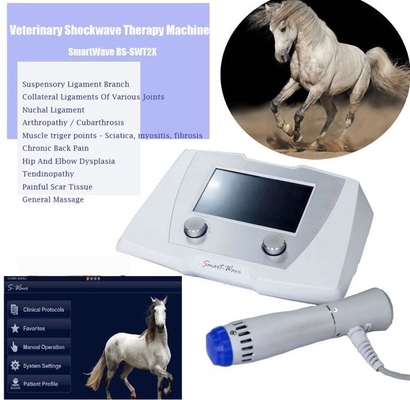 Veterinary Radial Pulse Wave ESWT Equine Shockwave Machine Therapy Device For Horse