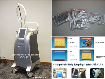 Body Slimming / Shaping Cryolipolysis Fat Freezing Machine With Intelligent Temperature Control