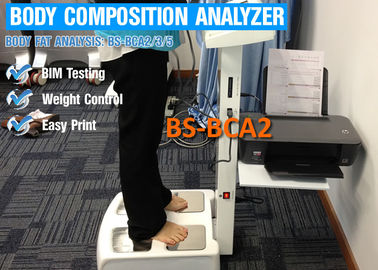 Touch Screen Body Composition Analyzer For Body Fat / Nutrition Analysis With Printer
