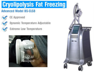 Non Surgical Liposuction Cryolipolysis Body Slimming Machine , Vacuum Weight Loss Machine