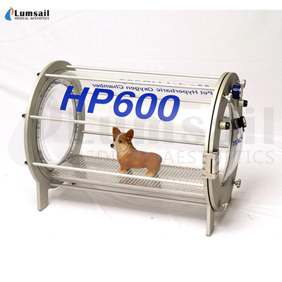 Veterinary HBOT Hyperbaric Oxygen Chamber Improve Circulation Healing Brain Function