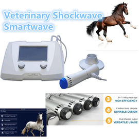 ESWT Equine Shockwave Machine 1HZ - 22HZ Shockwave Machine For Vet Clinic