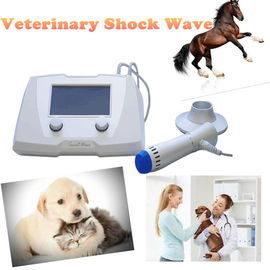Veterinary Equine Shockwave Machine For Animals Soft Issue / Tendon Injury