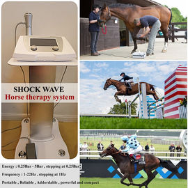 High Energy Veterinary Shock Wave Therapy Machine For Racehorse