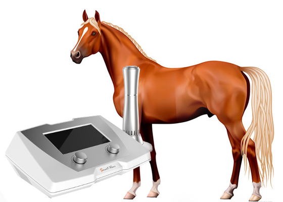 Veterinary Use Delayed Healing Fractures Treating Equine / Canine Shockwave therapy Machine