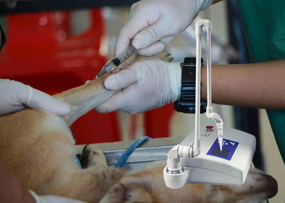 Medical Instrument Veterinary CO2 Fractional Laser Machine For Dogs / Animal Hospital