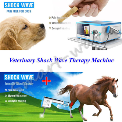 Focused Transmitter Horse Shockwave Therapy Machine For Horse Back Pain