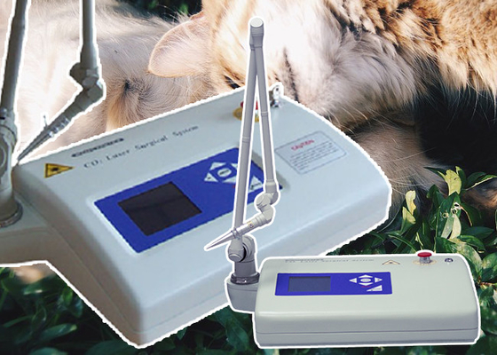 Veterinary Surgical Fractional Laser Skin Treatment Medical Instrument