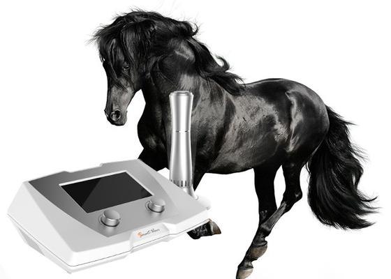 190 MJ High Energy Veterinary Shock Therapy Machine For Horse And Small Pets