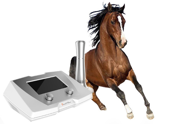 High Energy Veterinary Shock Wave Therapy Machine For Racehorse
