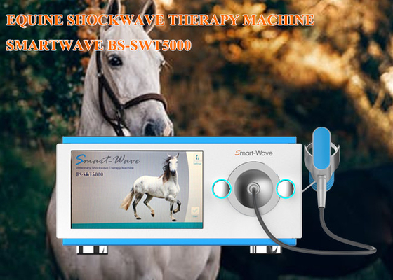 Professional Physiotherapy Radial Shockwave Therapy Machine Equine Shock Wave Equipment