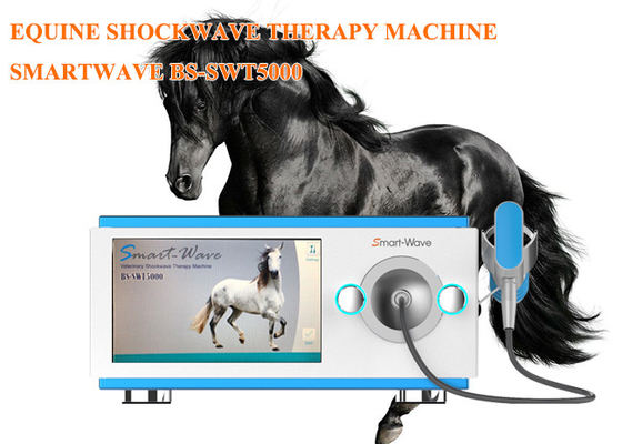 Professional Physiotherapy Radial Shockwave Therapy Machine Equine Shock Wave Equipment