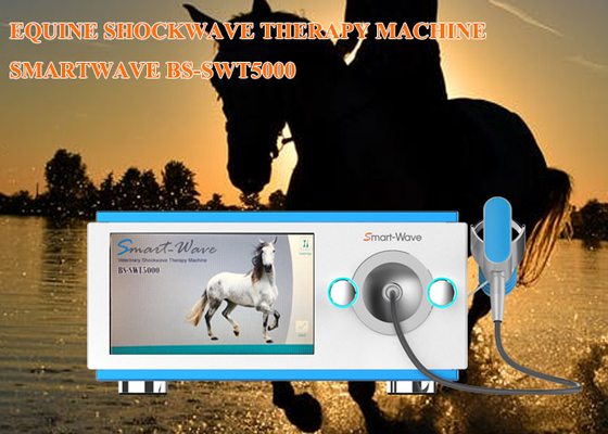 Veterinary Medical Physical Therapy Shock Machine For Equine Simple Design