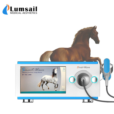 Arthritis ESWT Pain Relief Equine Shockwave Machine