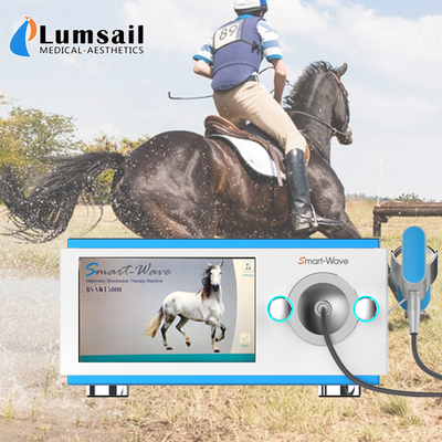 Low Noise Horse Equine Shock Wave Therapy Equipment For Pain BS-SWT5000