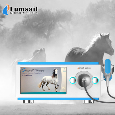 Professional Physiotherapy Radial Shockwave Therapy Machine Equine Shock Wave Equipment