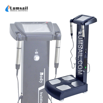 Segmented Biochemical Body Fat Analyzer With Printer