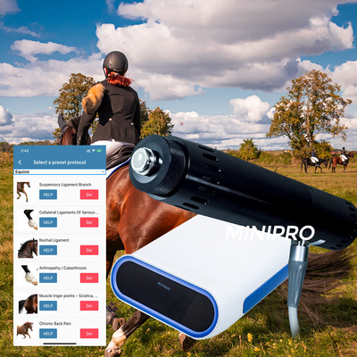 Horse Treatment Physiotherapy Horse Shockwave Therapy Machine