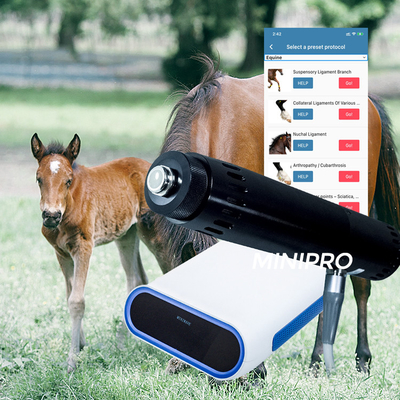 Portable  Horse Treatment Ems Shockwave Machine With Electromagnetic Generator