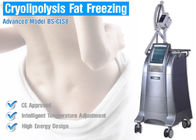 Cryolipolysis Fat Freezing Body Sculpting Equipment For Body Reshaping / Slimming