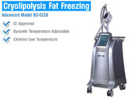 Fat Burning Cryolipolysis Fat Freeze Slimming Machine , Fat Cavitation Machine For Men Women