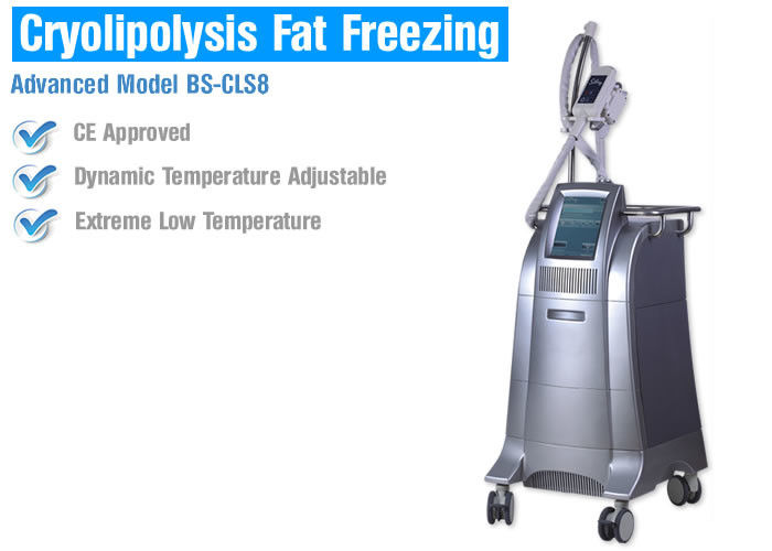 Fat Burning Cryolipolysis Fat Freeze Slimming Machine , Fat Cavitation Machine For Men Women