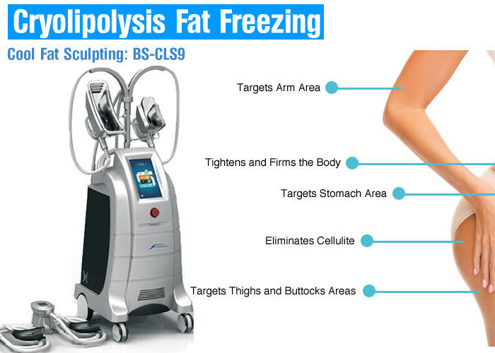 4 Handles Fat Freezing Cryolipolysis Body Slimming Machine For Weight Loss /  Cellulite Reduction