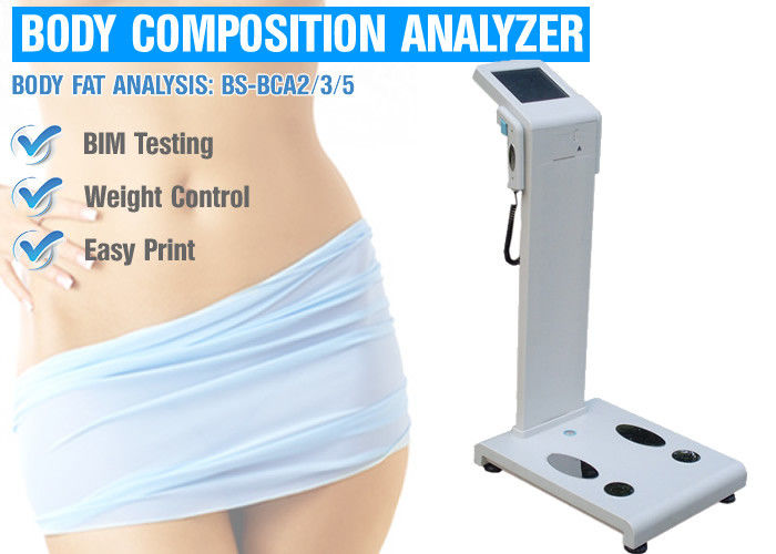 Body Fat Percentage Measurement Device