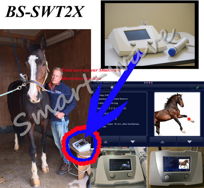 Veterinary Treat Equine Shockwave Machine For Superficial Orthopedic Disorders