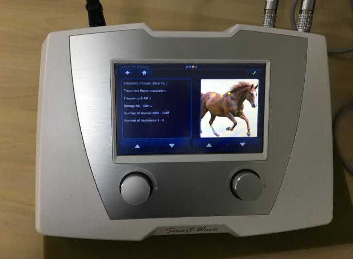 Veterinary Treat Equine Shockwave Machine For Superficial Orthopedic Disorders