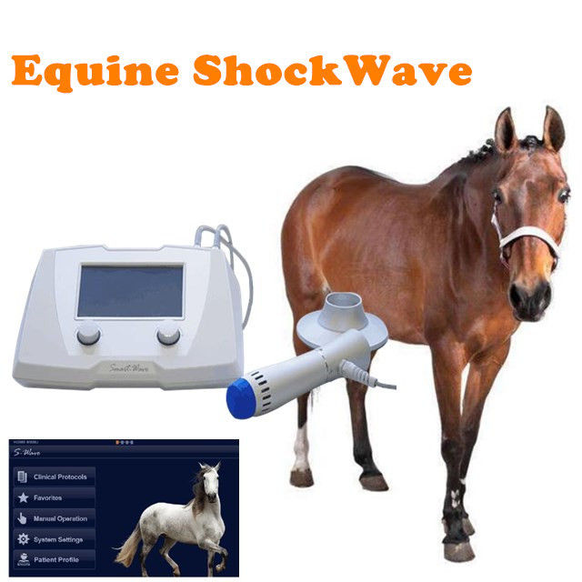 High Intensity Equine  Extracorporeal Shock Wave Therapy Machine For Horse