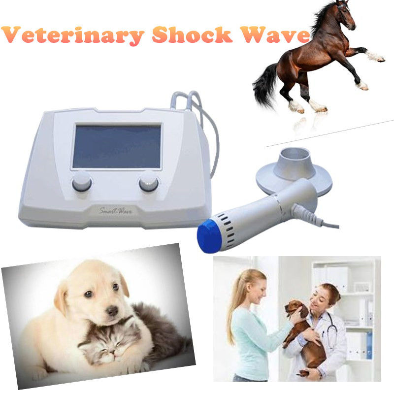 Physical Therapy Shock Machine For Chronic Back Pain / Tendon Injury