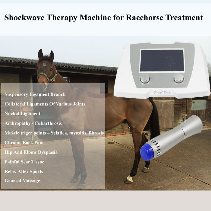 Acoustic Shock Wave Therapy Eswt Device For TPLO Tibial Plateau Leveling Osteotomies