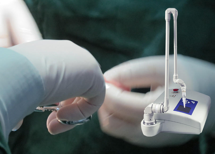 Veterinary Surgical Fractional Laser Skin Treatment Medical Instrument