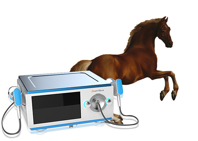 Low Noise Horse Equine Shock Wave Therapy Equipment For Pain BS-SWT5000