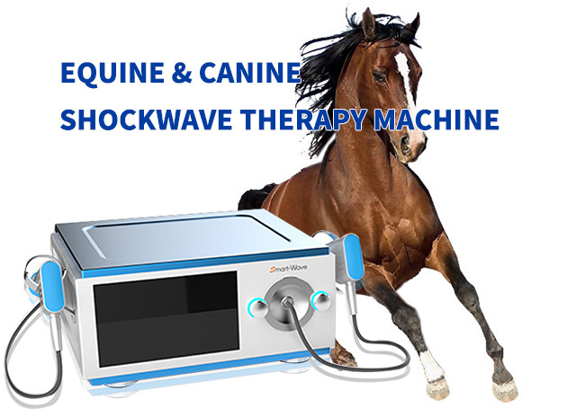 Low Noise Horse Equine Shock Wave Therapy Equipment For Pain BS-SWT5000