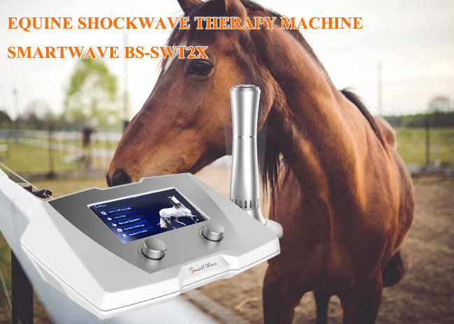 Medical Equine Shockwave Machine 10mj - 190mj Energy 320 * 225 * 126mm