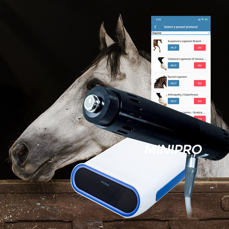 Horse Veterinary Equine Shockwave Machine For Wound Healing