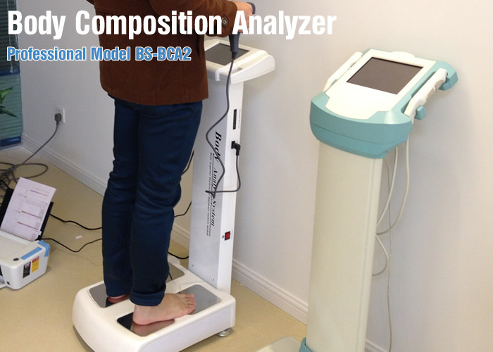 Vertical Segment Human Body Composition Analyzer Equipment For Clinic Healthy Test