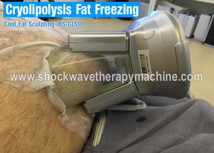 Safety Coolsculpting Slimming Beauty Machine For Fat Reduction / Body Contouring