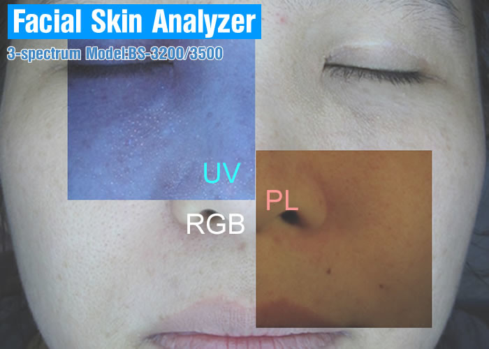 Beauty Clinic / SPA Skin Analysis Machine Skin Scope Analyzer 12 Months Warranty